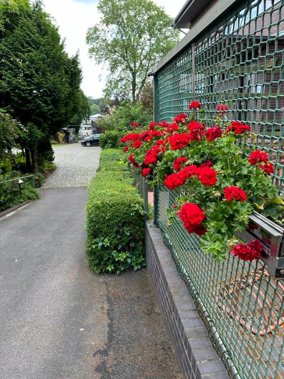 Pension am Tiefen See Bed and Breakfast in Potsdam