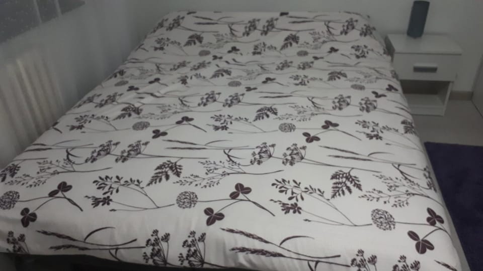 Apartman SAN Apartment in Vojvodina