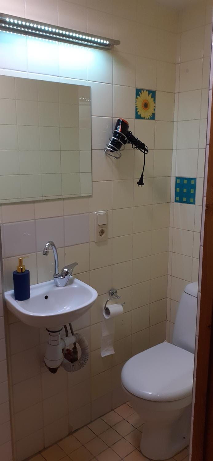 Attic rooms at Laisves avenue Apartment in Lithuania