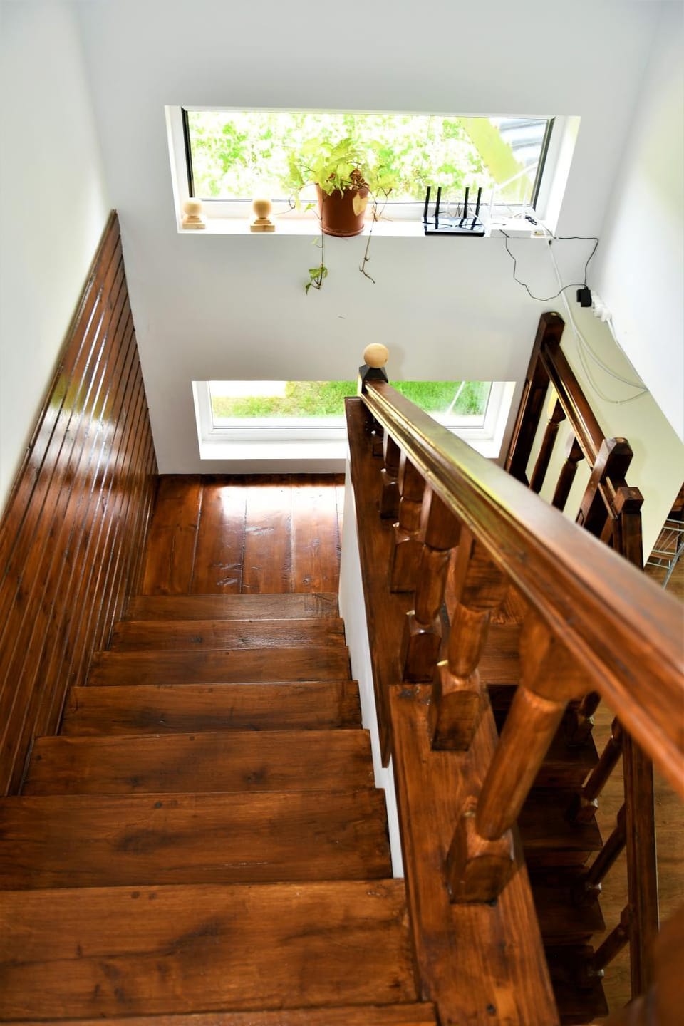 Pensiunea Codalb Bed and Breakfast in Constanța County