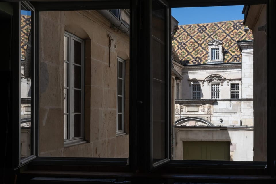 La Chouette des Ducs, Appartement en Hypercentre Apartment in Dijon