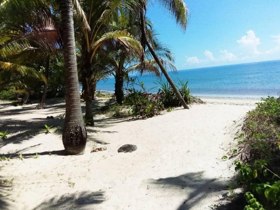 Day, Natural landscape, Beach, Sea view