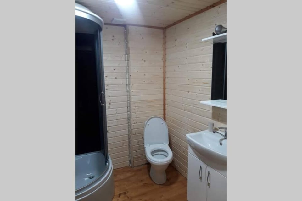 Студіо Номер 5 Садиба У Ані Apartment in Ukraine