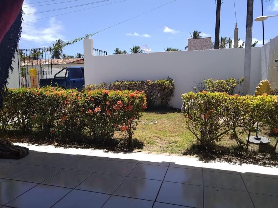 Patio, Garden