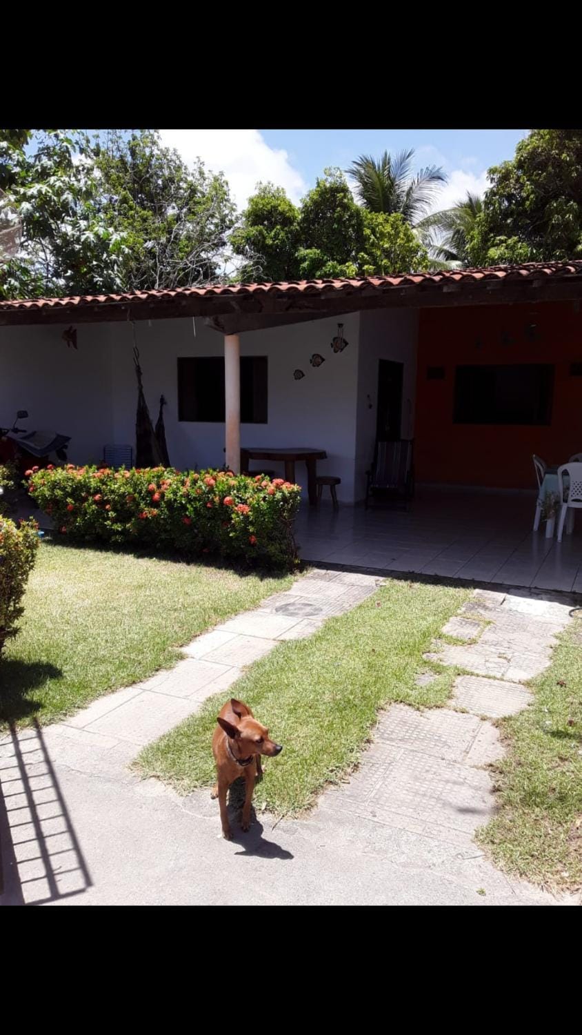 Patio, Facade/entrance, Garden