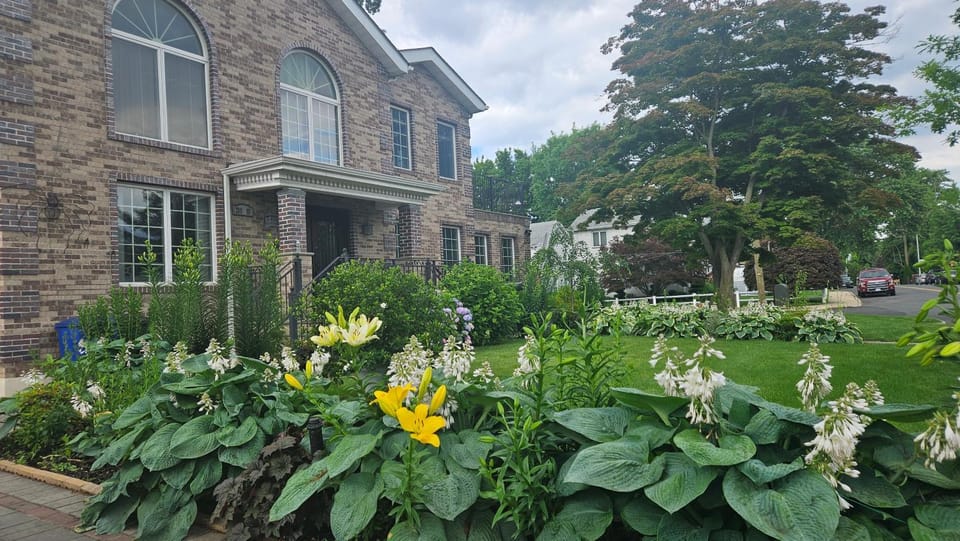 Garden view