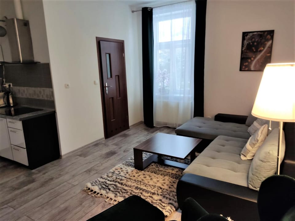 Izerski Relaks Apartment in Lower Silesian Voivodeship