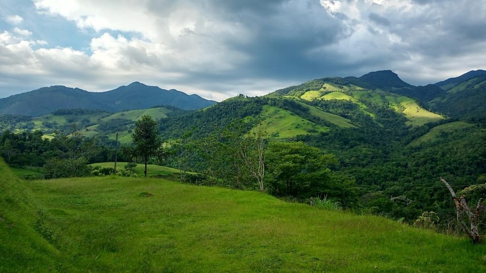 Garden view, Mountain view