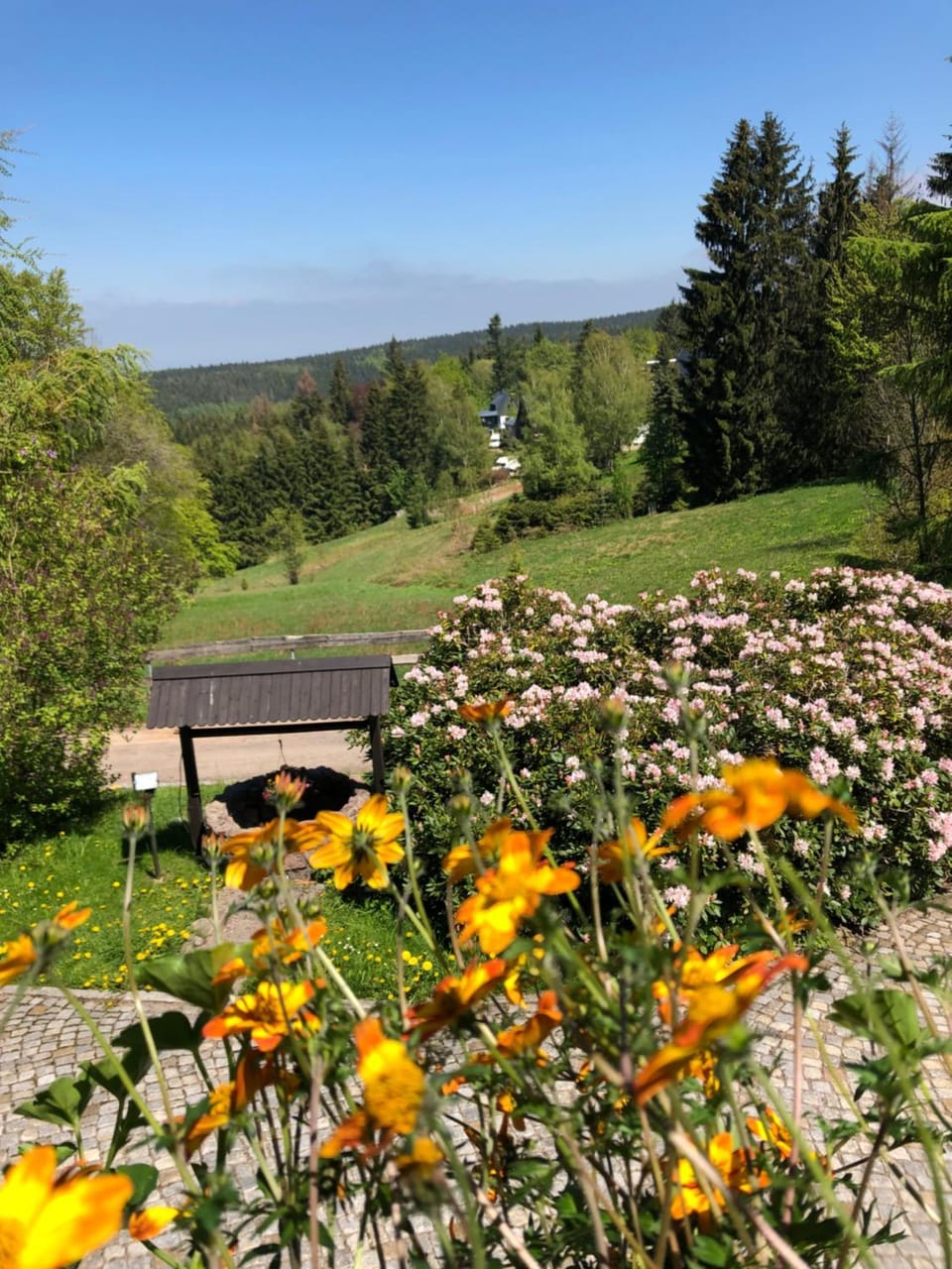 View (from property/room)