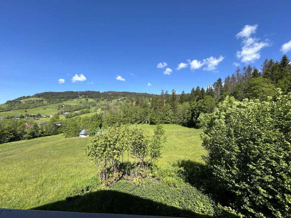 Appartement cosy 2 pièces, 6 couchages, balcon, garage et casier à skis, Demi-Quartier - FR-1-597-9 Apartment in Combloux