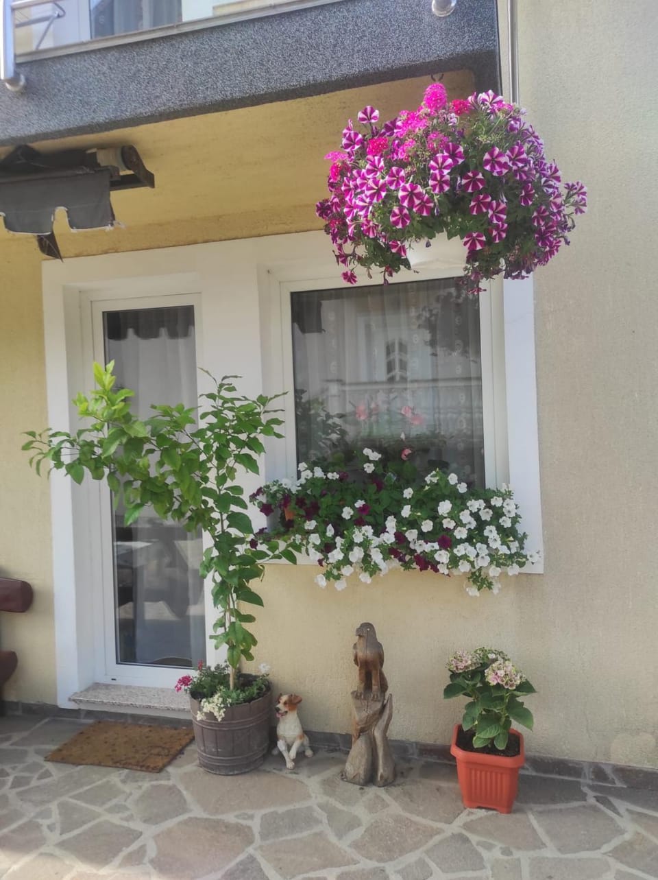 Drago Kremenjaš Apartment in Primorje-Gorski Kotar County