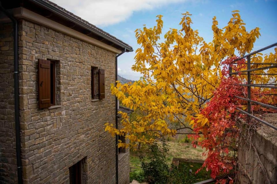 Property building, Facade/entrance, Autumn