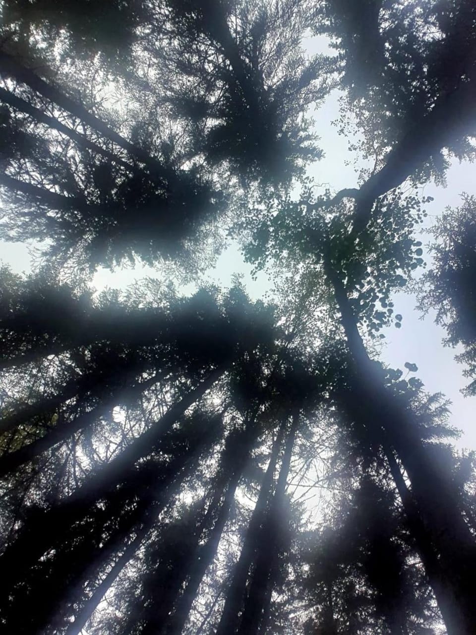 Natural landscape