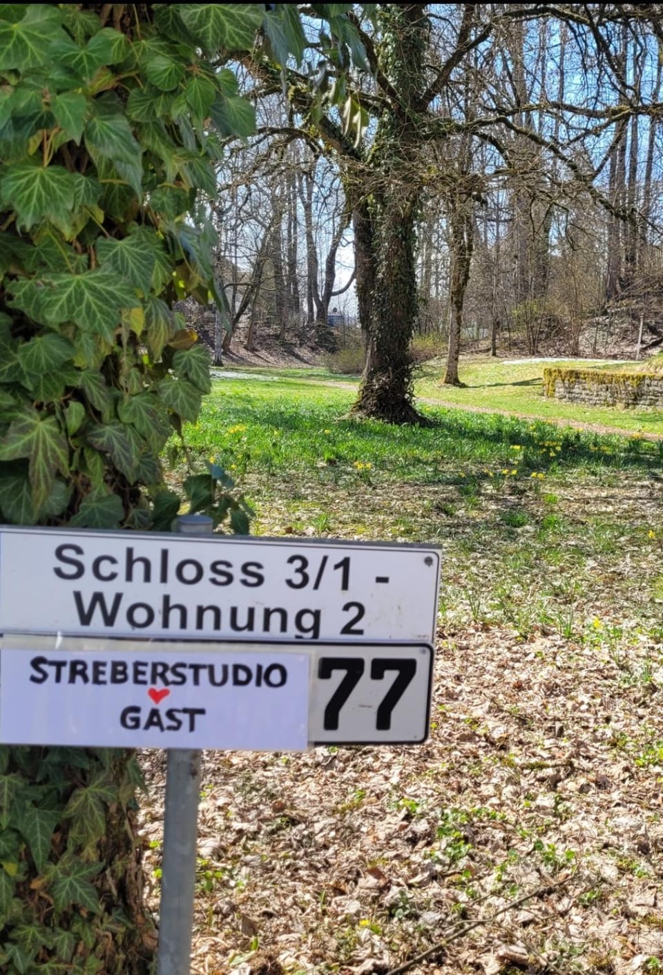 SchlossNest Isny - Denkmal Kultur Park Stadt Apartment in Isny im Allgäu