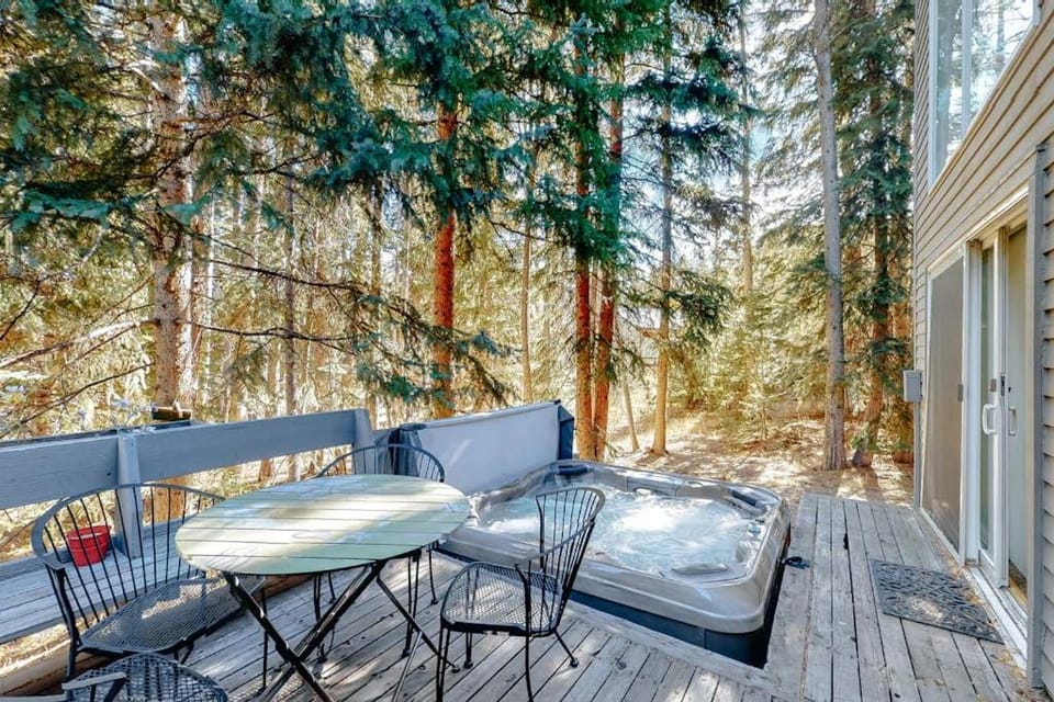 Mountain Breeze House in Breckenridge