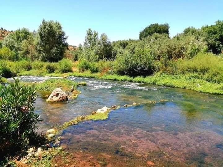 Natural landscape