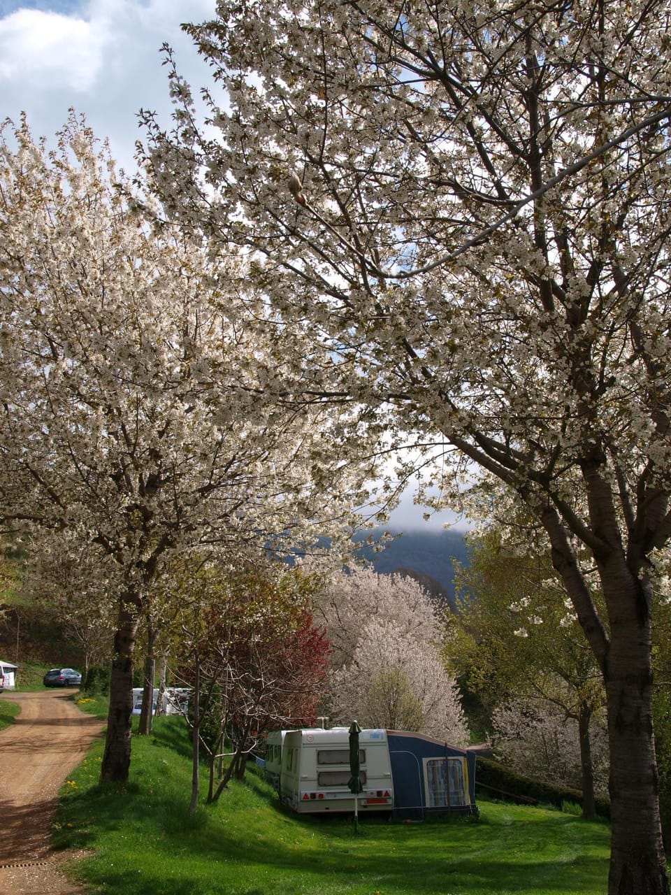 Spring
