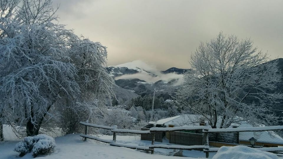 Mountain view