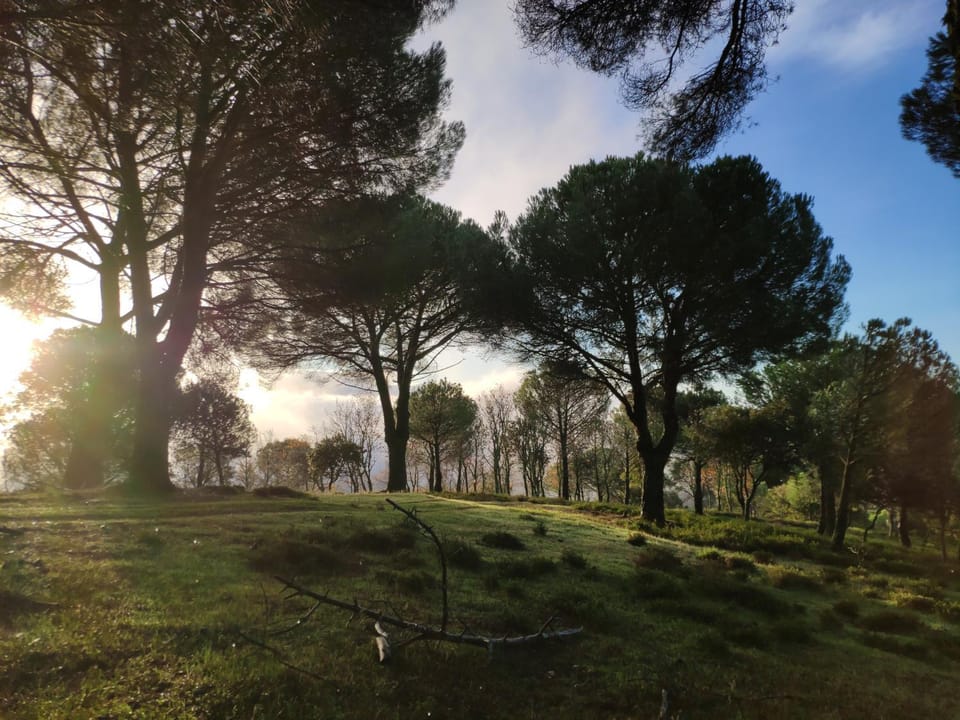 Off site, Natural landscape, Autumn
