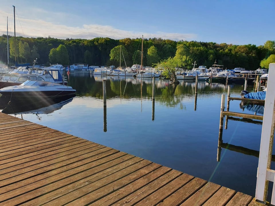 Lake view
