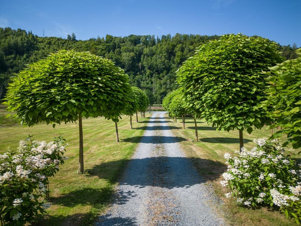 Natural landscape, Garden