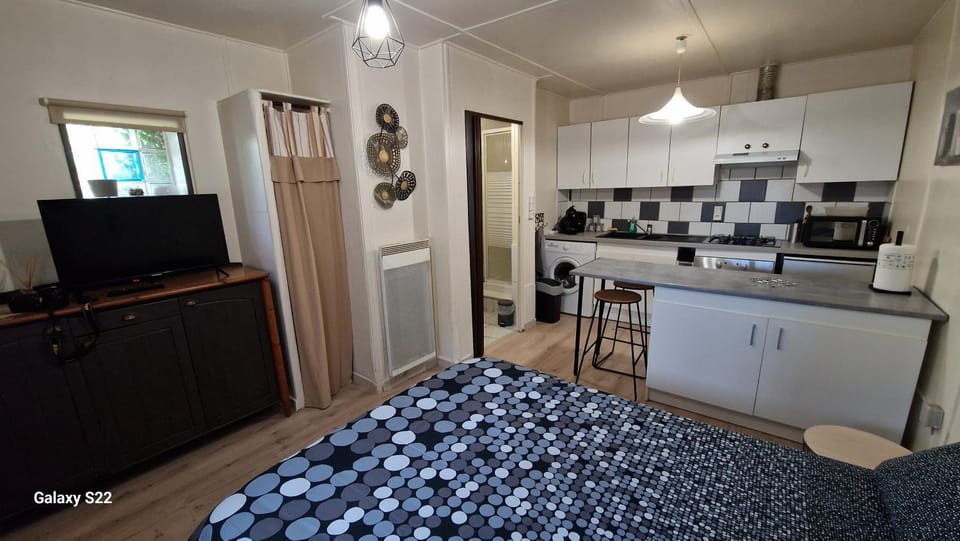 LE STUDIO REMCAM Apartment in Provence-Alpes-Côte d'Azur