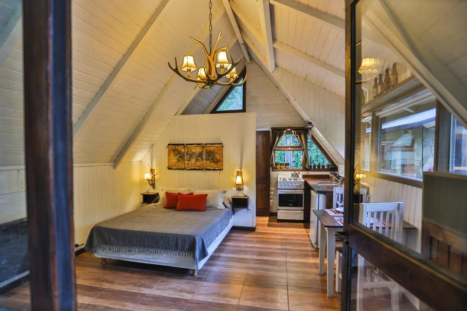Bed, Living room, Photo of the whole room, Seating area, Bedroom