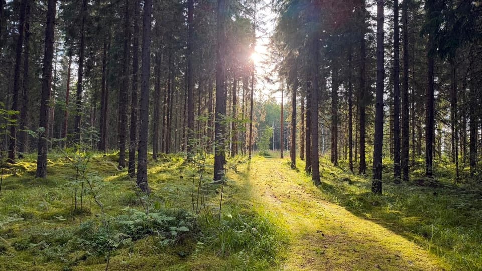 Saarilandia Villa in Finland