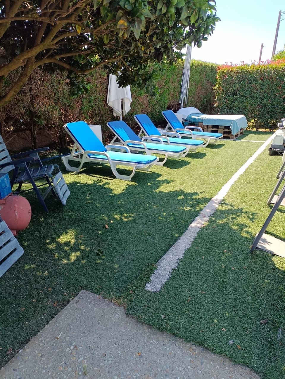 Garden view, sunbed