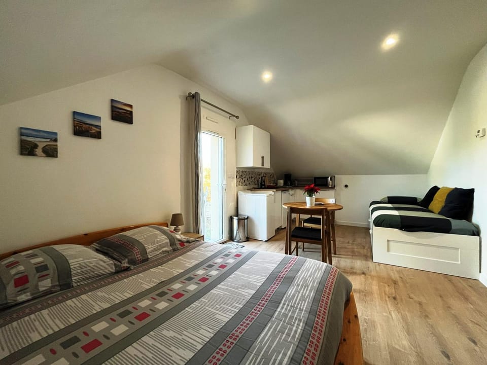 Bed, Kitchen or kitchenette, Living room, Photo of the whole room, Seating area