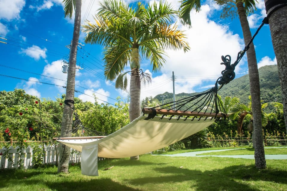 Garden, Garden, Balcony/Terrace, sunbed