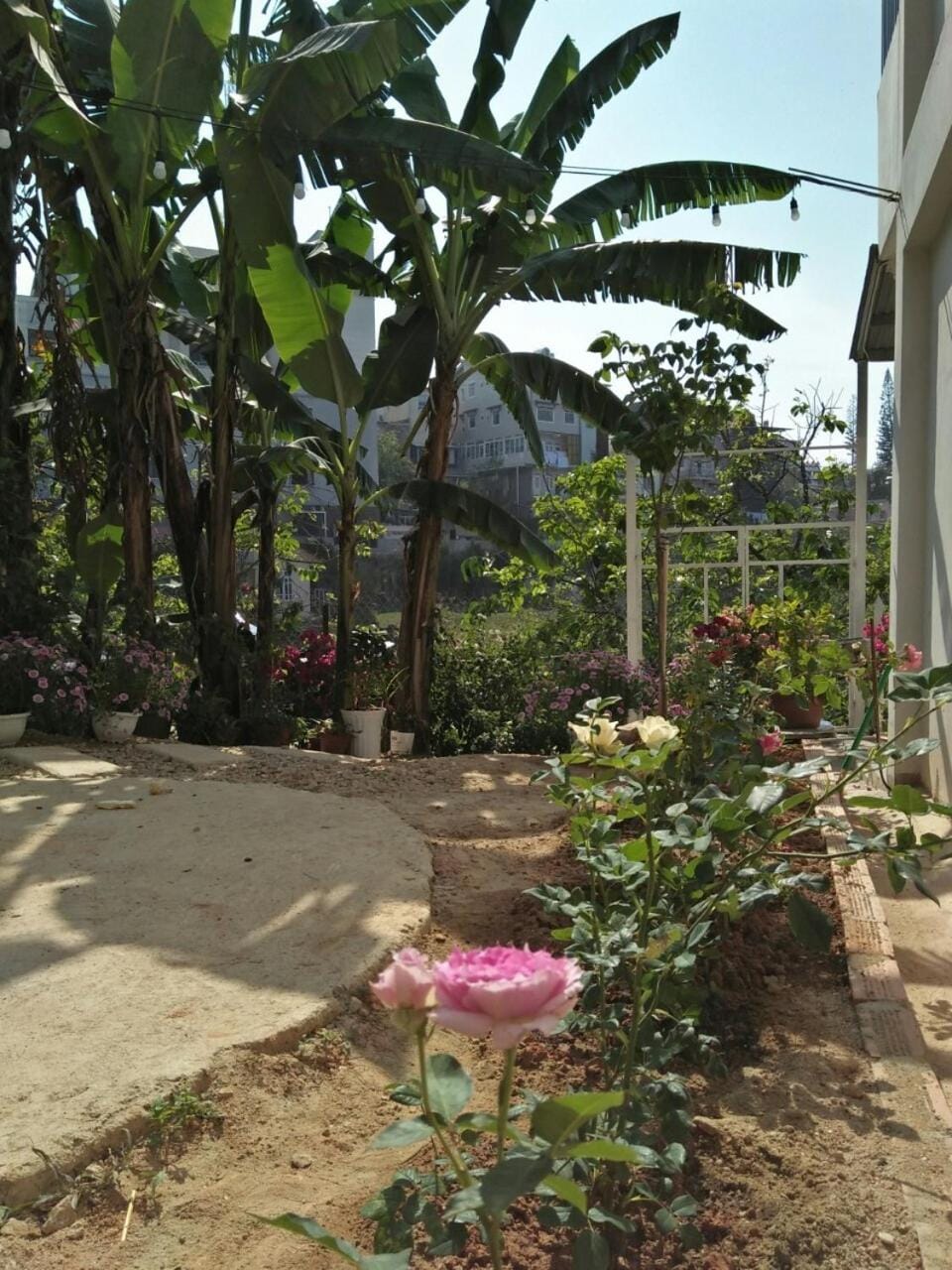 Property building, Garden