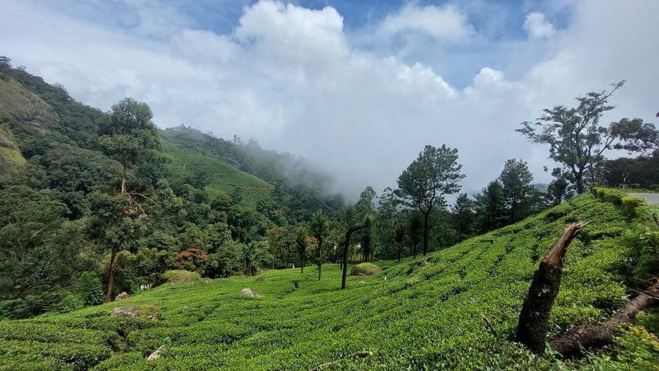 Natural landscape, Garden, Hiking
