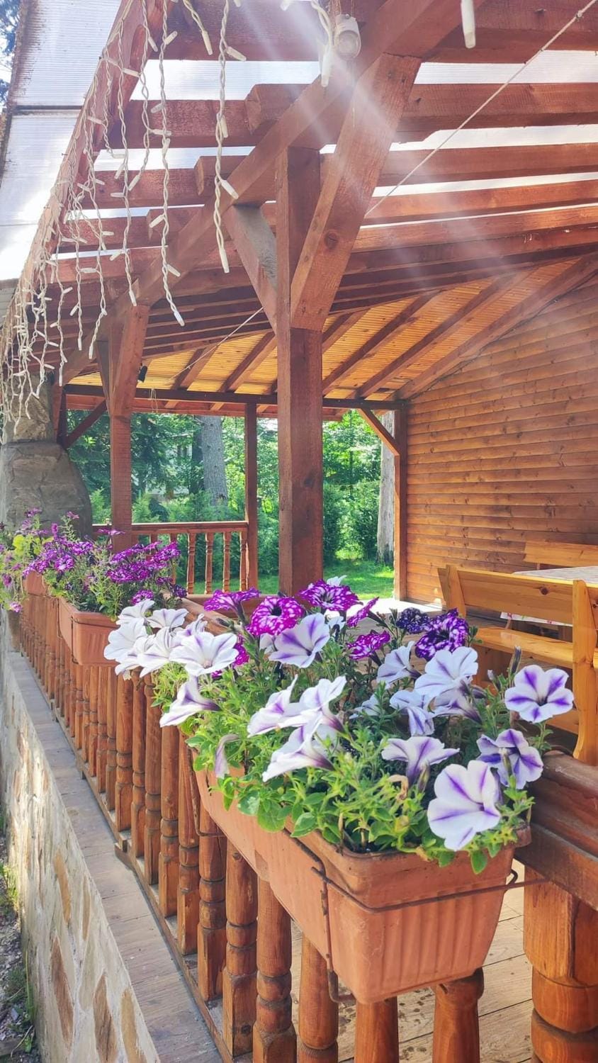Къща за гости ЕКО House in Bulgaria