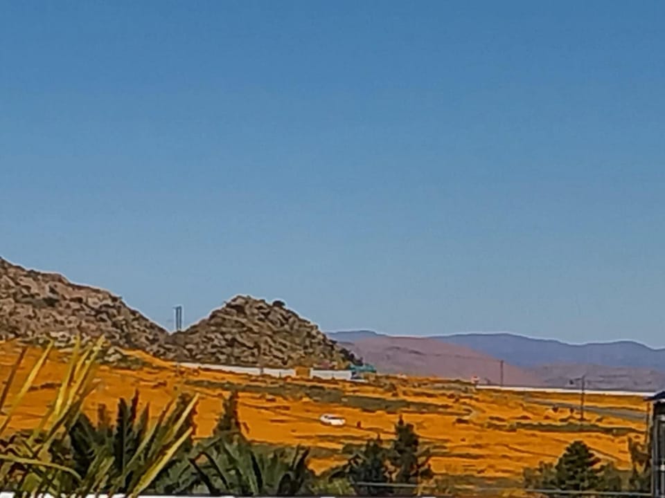 Natural landscape