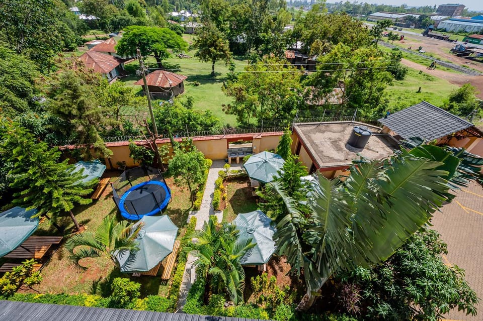 Garden view