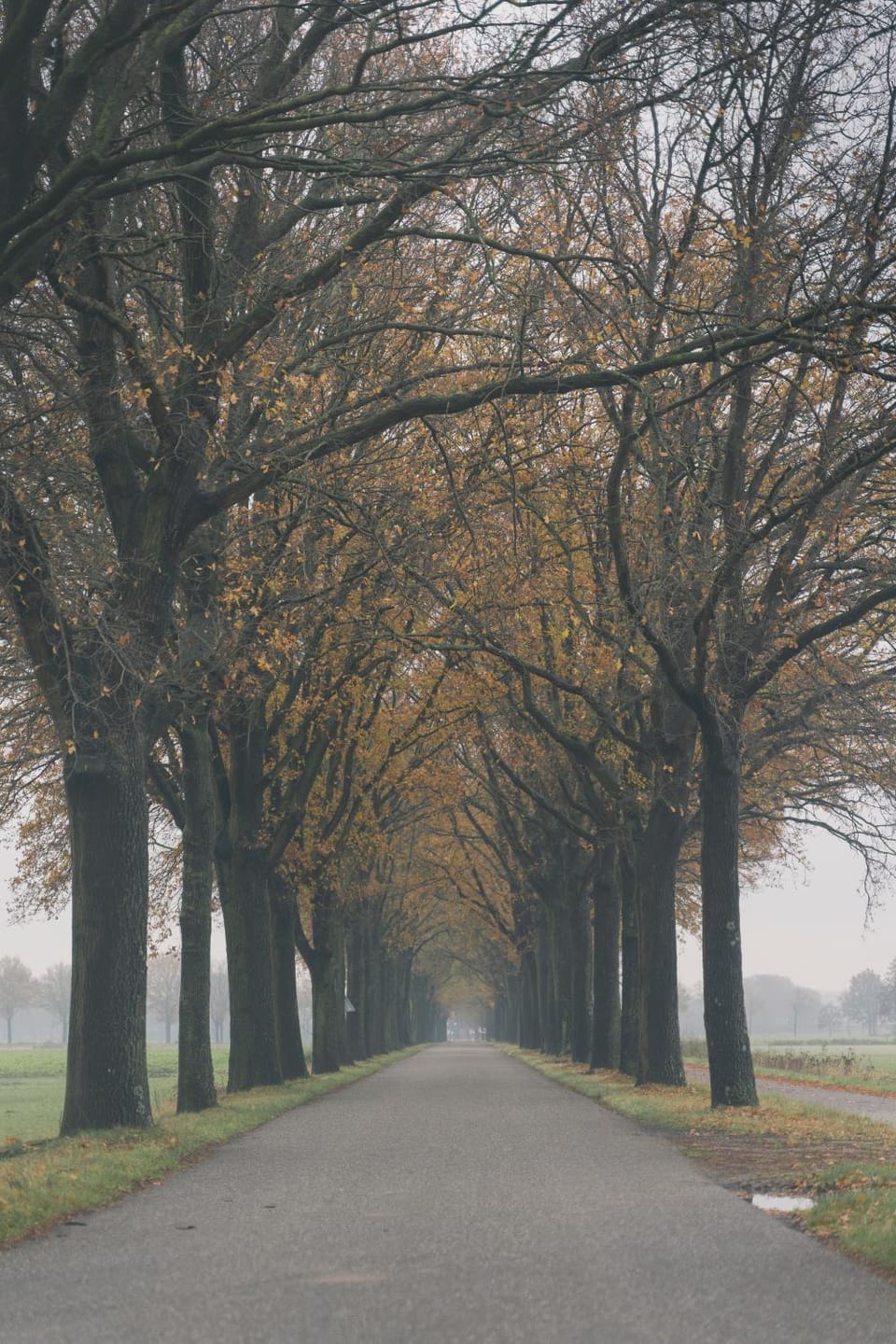 Natural landscape