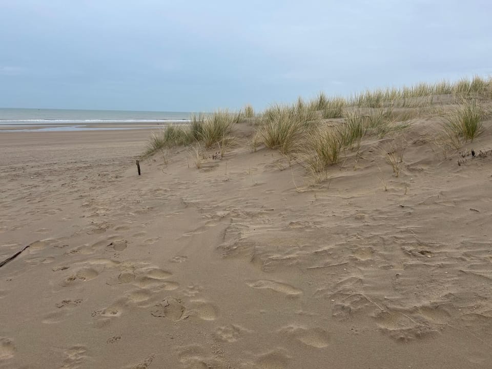 Beach, Sea view