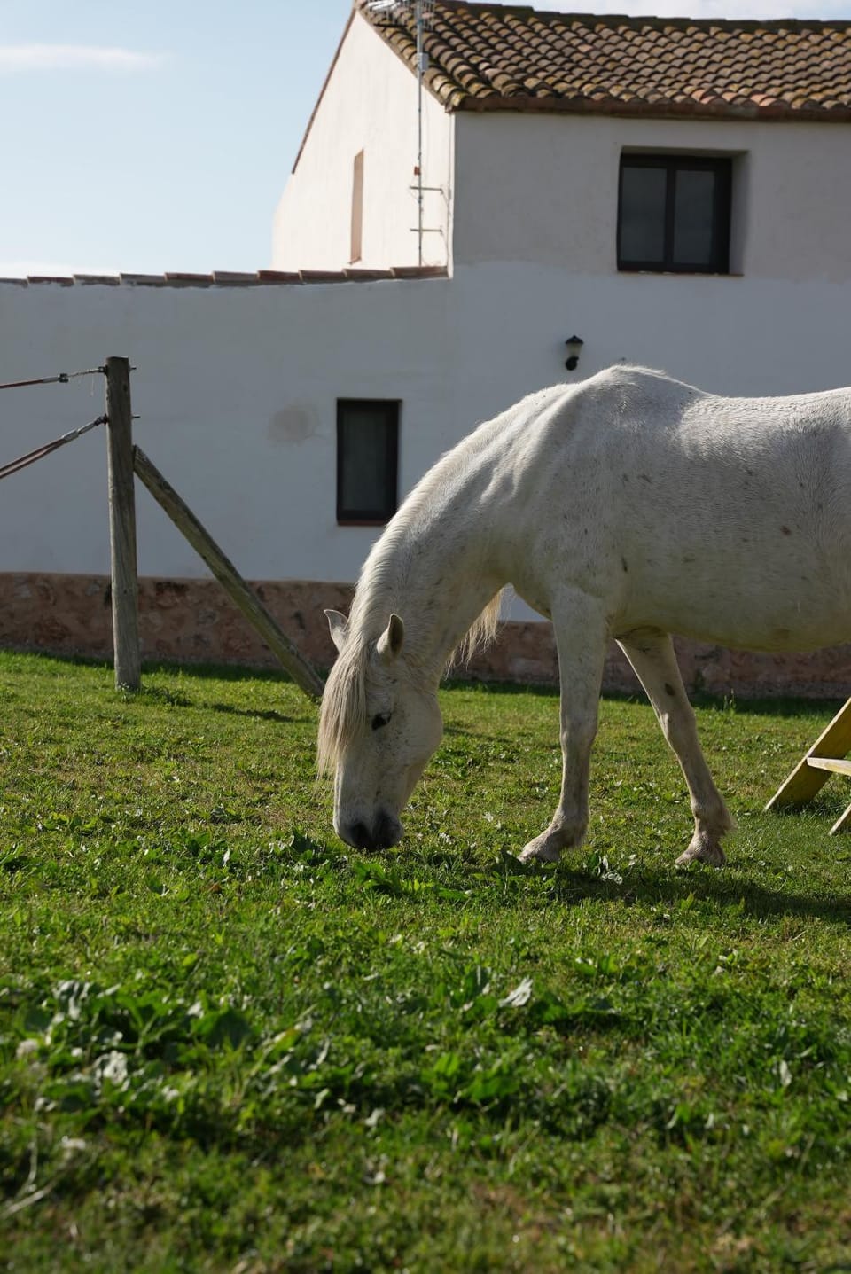 La Finestra del Delta Country House in Baix Ebre