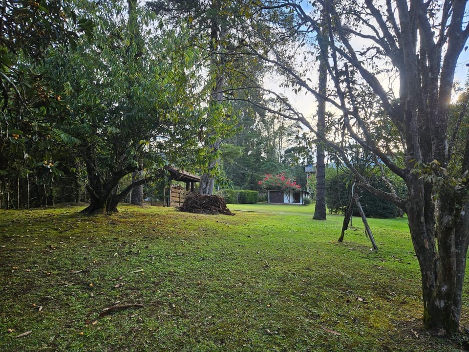 Chalés Mathora Nature lodge in State of Rio de Janeiro