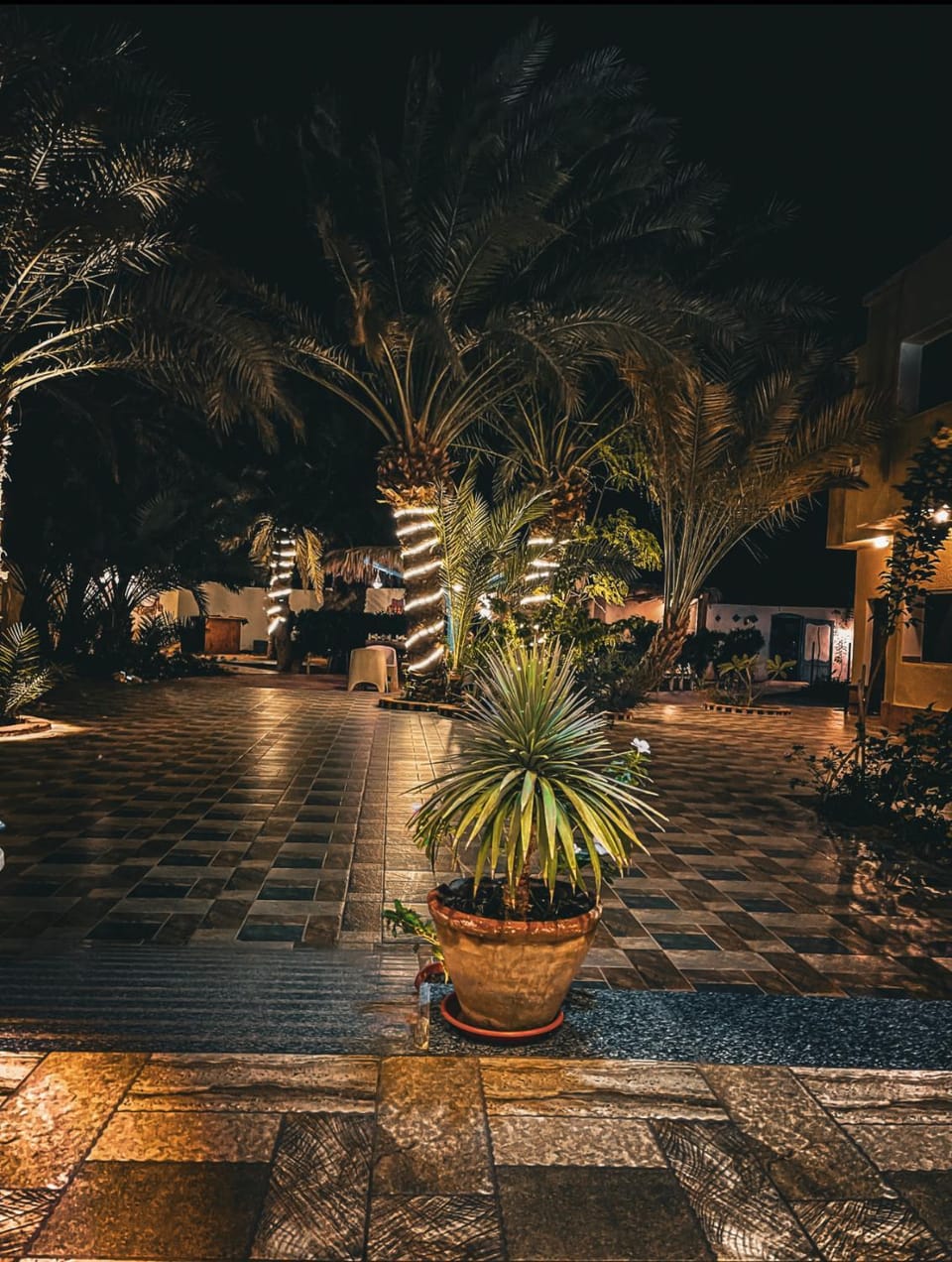 Night, Natural landscape, Garden, Garden view