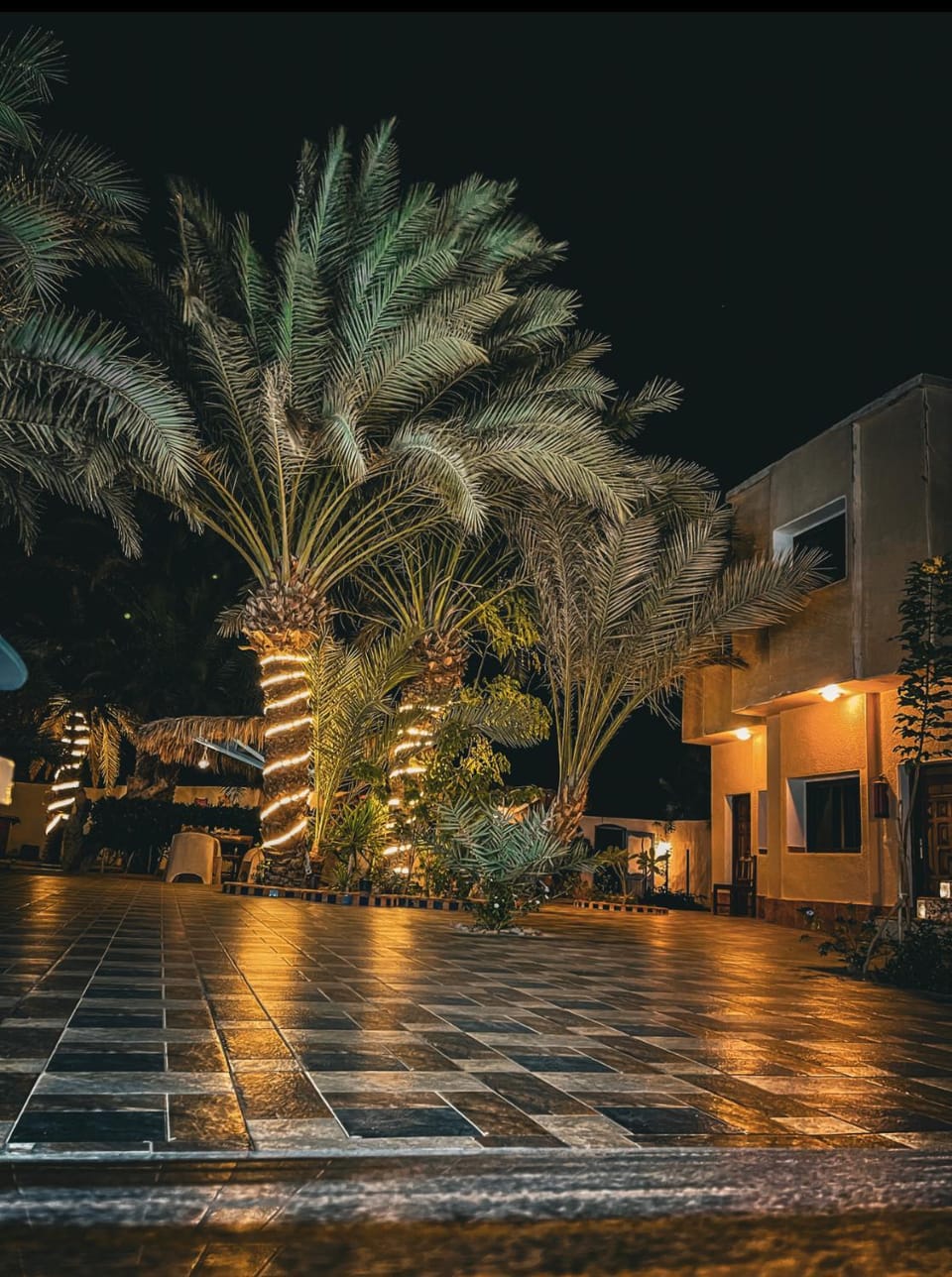 Property building, Night, Garden