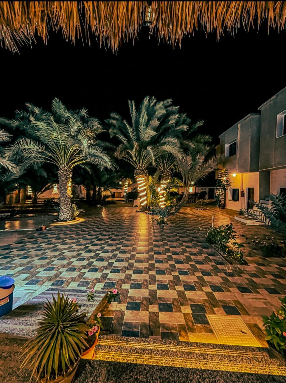 Night, Garden, Garden view