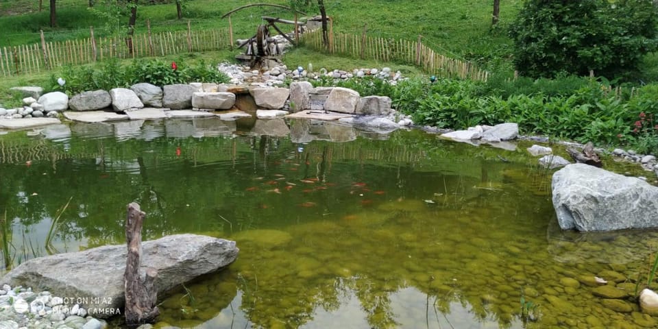 Wachingerhof Farm Stay in Bavaria