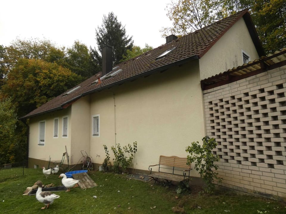 Property building, Garden, Animals