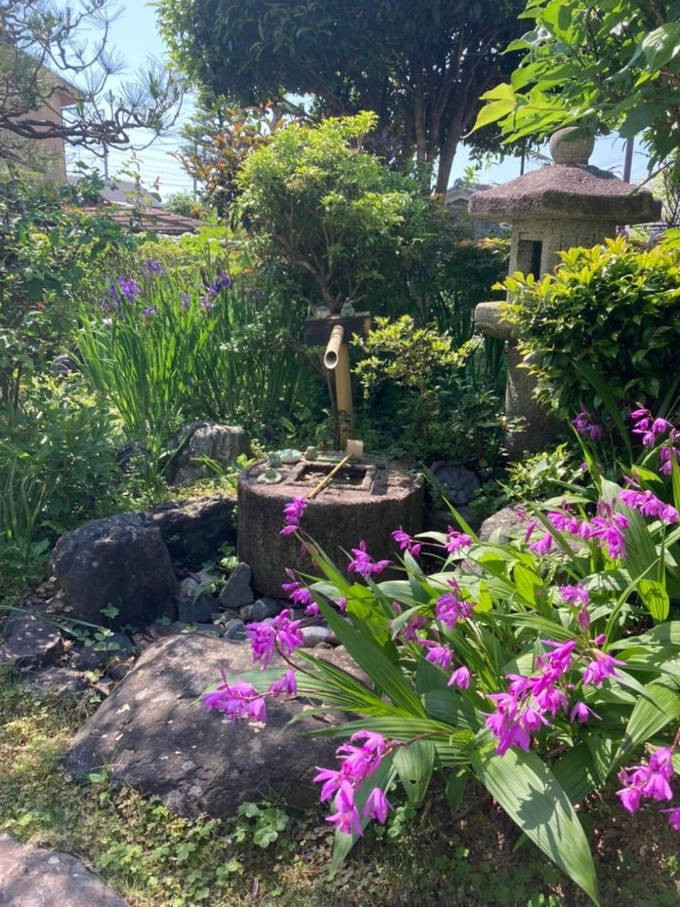 Spring, Day, Garden, Garden view
