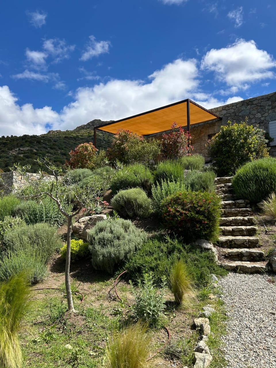 Résidence Casarella Lama Apartment in Corsica