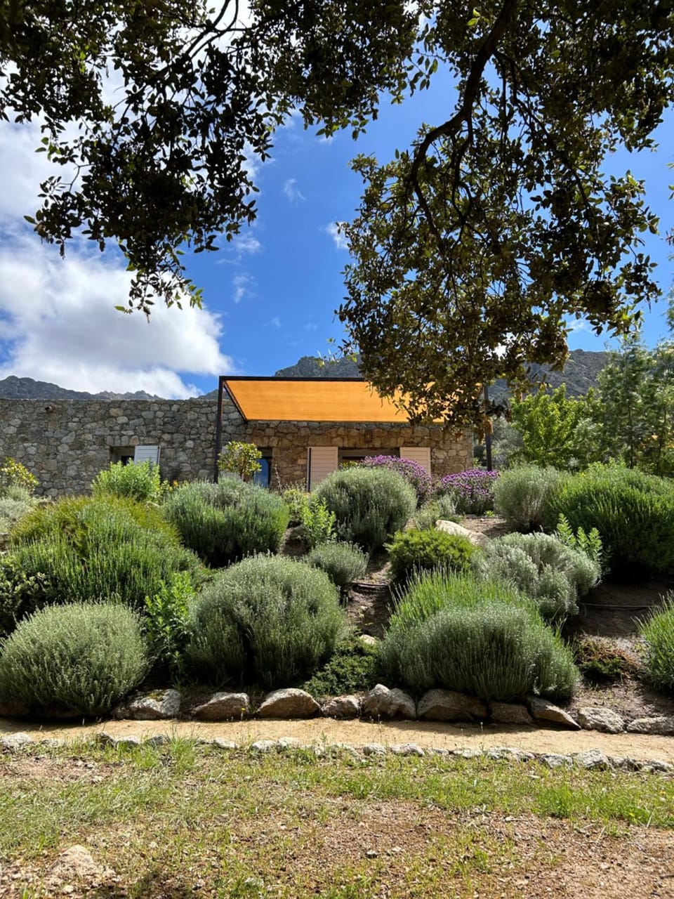 Résidence Casarella Lama Apartment in Corsica