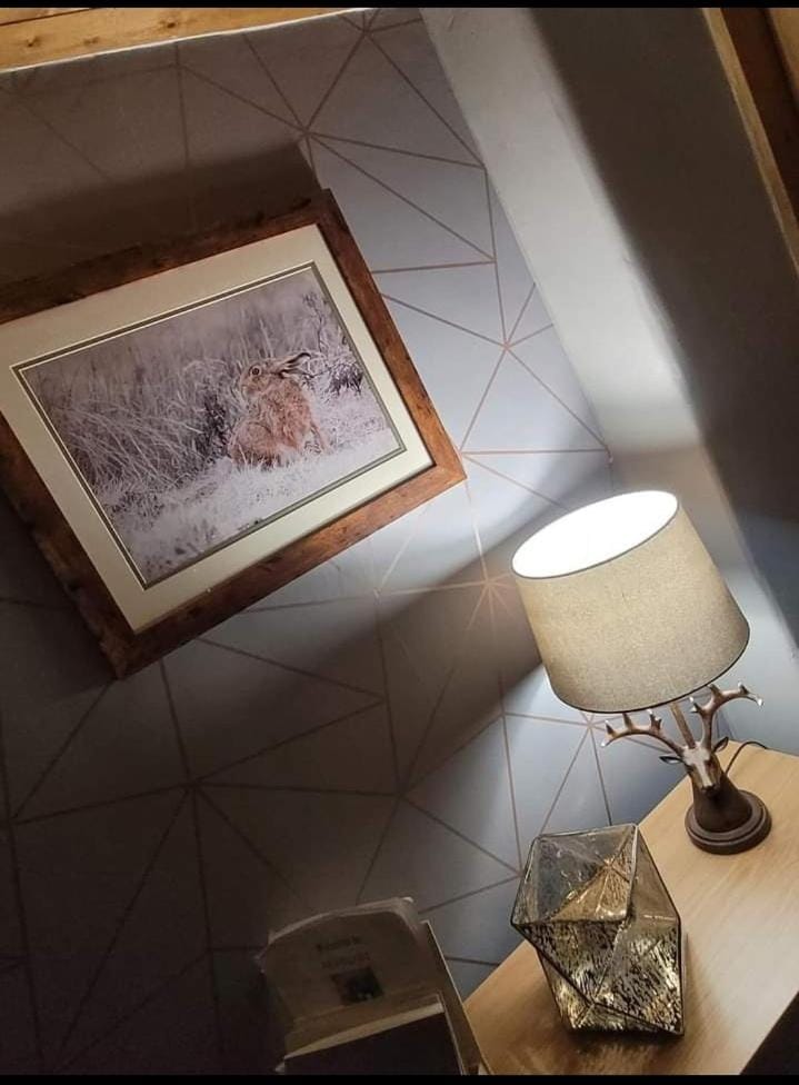 Cosy Minffordd Let - Llanuwchllyn near, Bala LL23 House in Wales