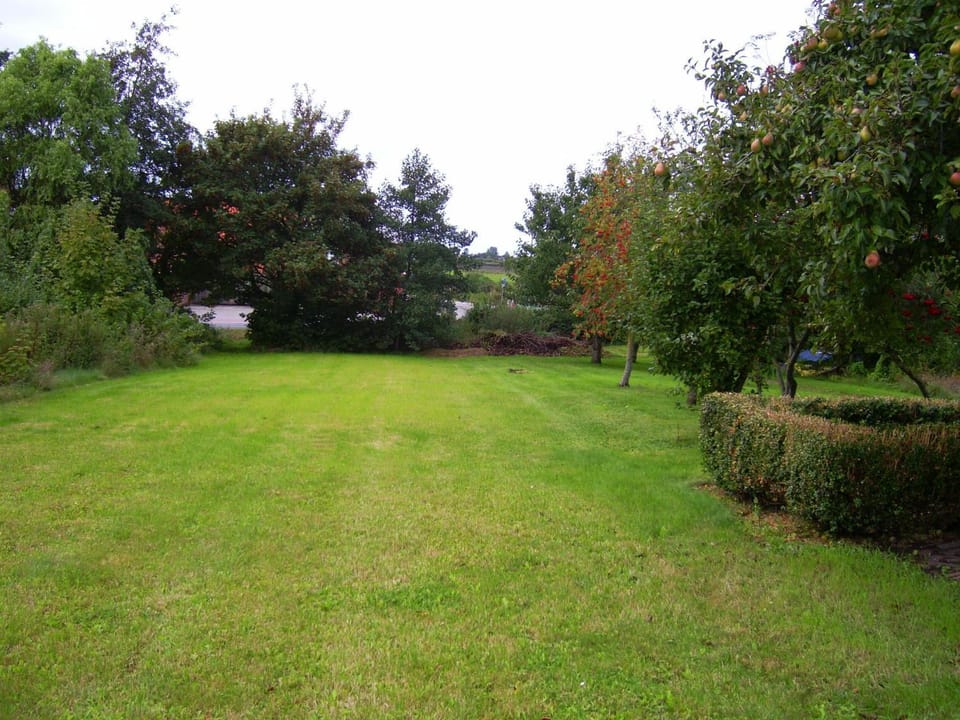 Area and facilities